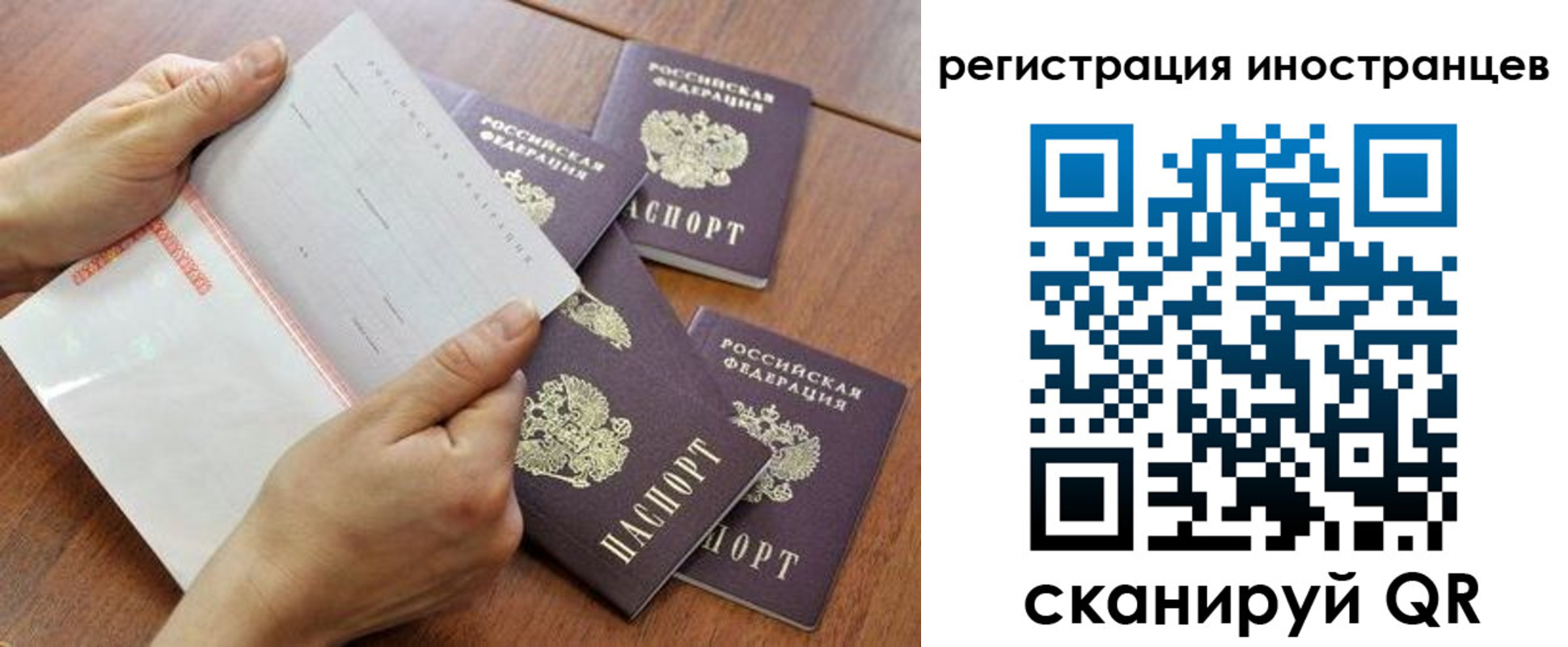 прописка поиск в Венёве